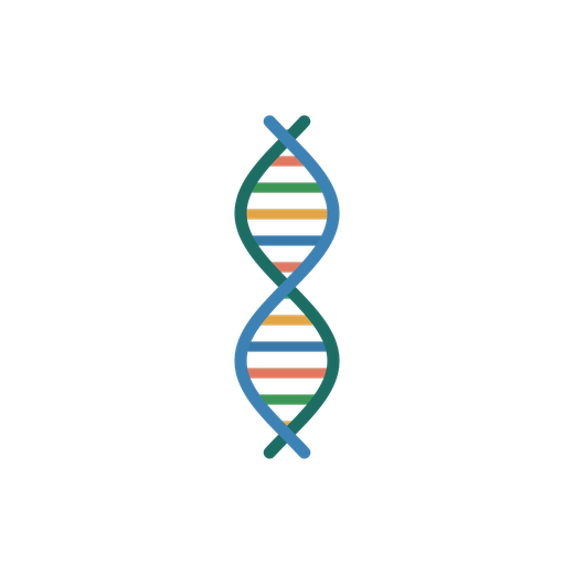 Illustrated DNA double helix